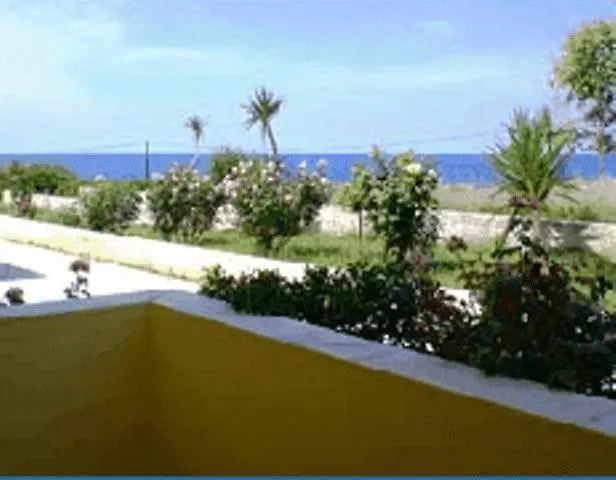 Ammes 3*